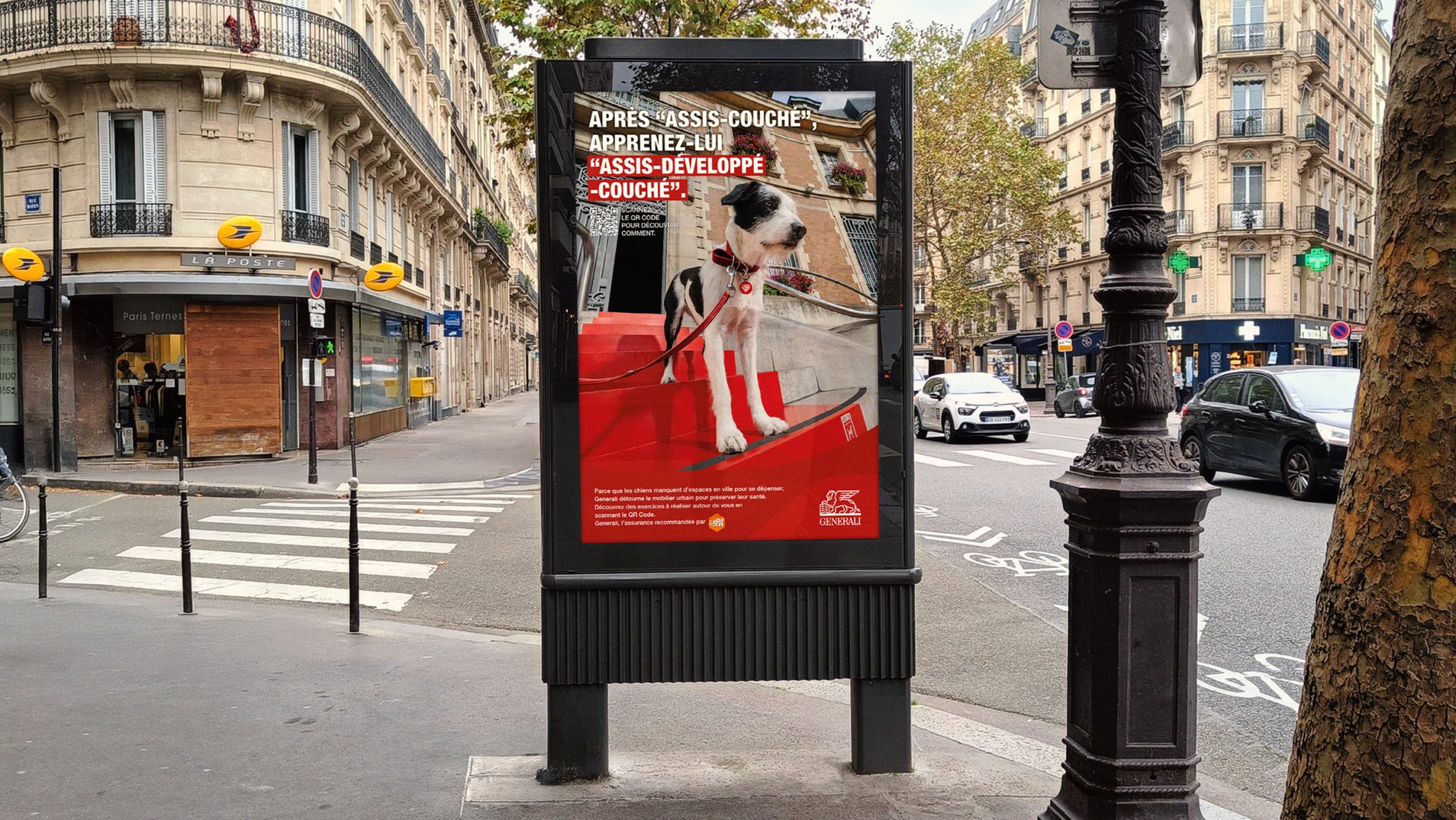 URBAN DOGGY FIT gallery